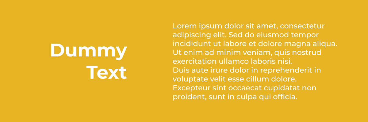 Dummy Text Generator